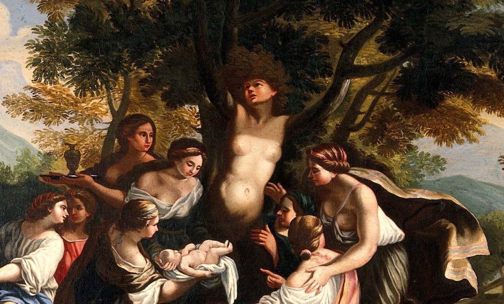 The_birth_of_Adonis_and_the_transformation_of_Myrrha._Oil_pa_Wellcome_V0017239 (1).jpg