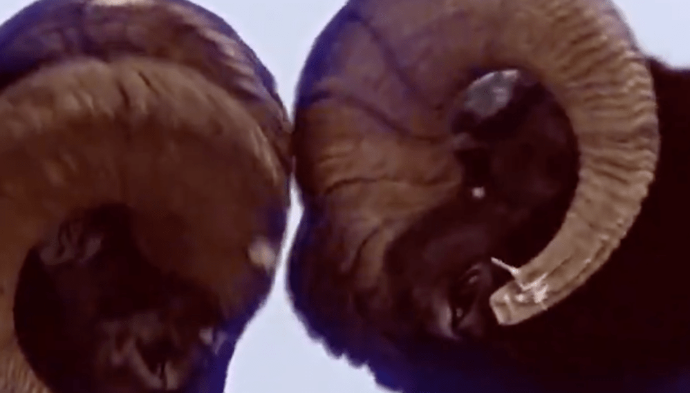 Screen Shot 2019-09-06 at 9.42.22 AM.png