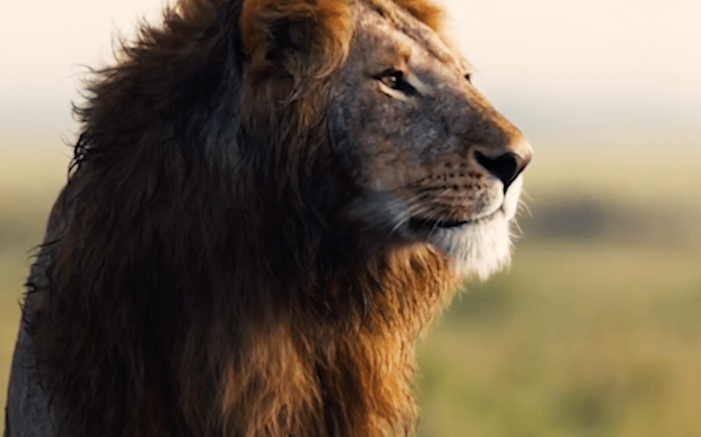 Screen Shot 2019-12-20 at 2.05.03 PM.png