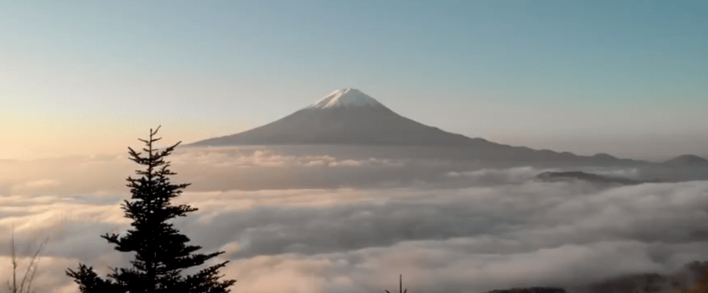 Screen Shot 2019-12-21 at 7.31.36 AM.png